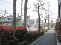 練馬春日町駅周辺