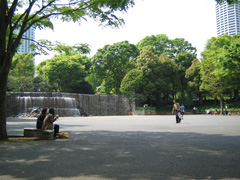 新宿中央公園 中央広場