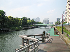 横十間川遊歩道