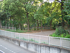 横十間公園