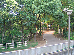 横十間公園