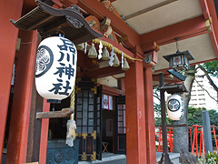 品川神社・本堂2