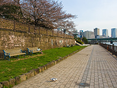 佃公園の河岸遊歩道