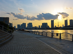 勝どき湯の近所の公園