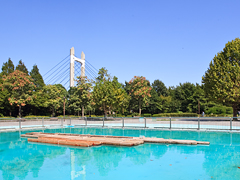 千葉公園入口付近の人工池