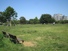 木場公園の広場1