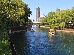 横十間川公園の遊歩道