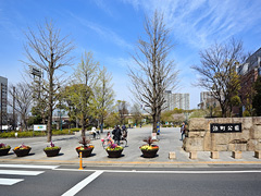 浜町公園