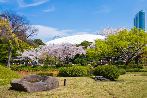 東京 小石川後楽園