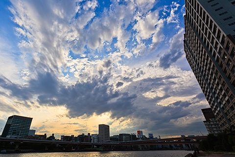 東京 キャンバスの空