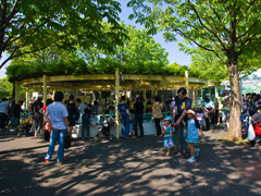 自然動物園・園内風景1