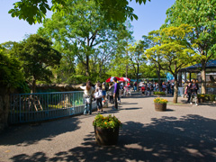 自然動物園・園内風景2