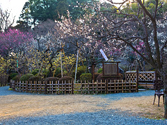 あずまやがある庭園