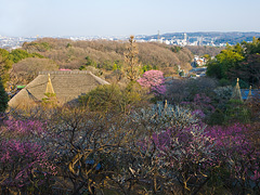 清涼台から望む