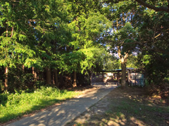 野鳥観察小屋