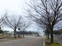 朝8:45の葛西臨海公園の様子